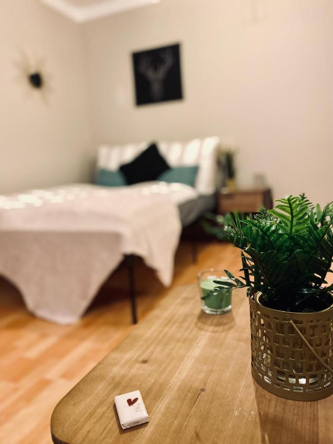 Saniertes Studio mit Balkon, WLAN, Netflix&Küche in City-Nähe Érfurt Exterior foto